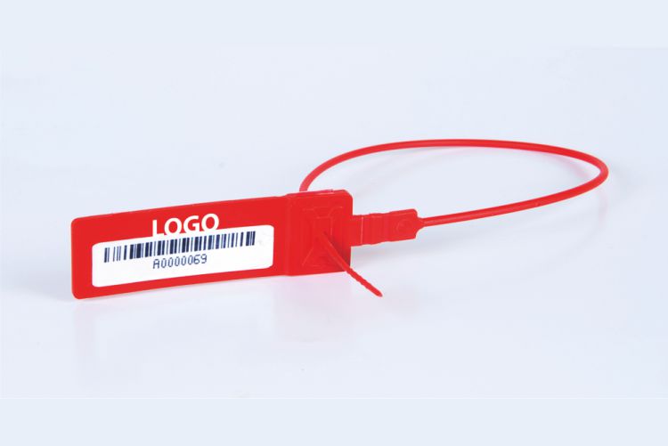 SIBO wire seal